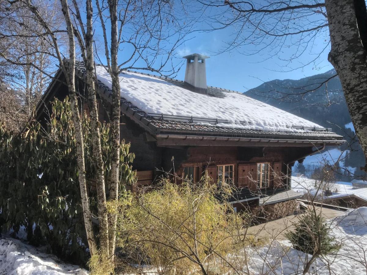 Vila Les Jumelles Gstaad Exteriér fotografie