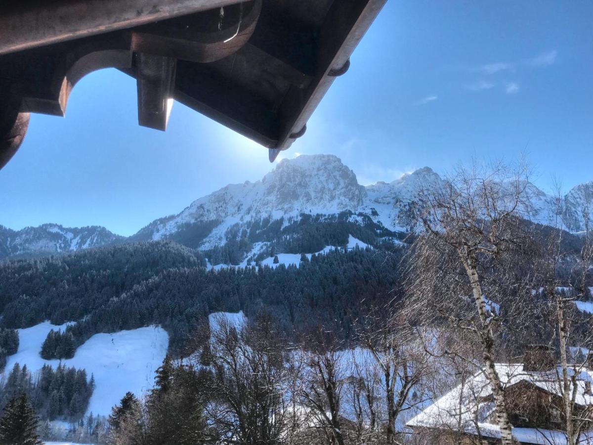 Vila Les Jumelles Gstaad Exteriér fotografie