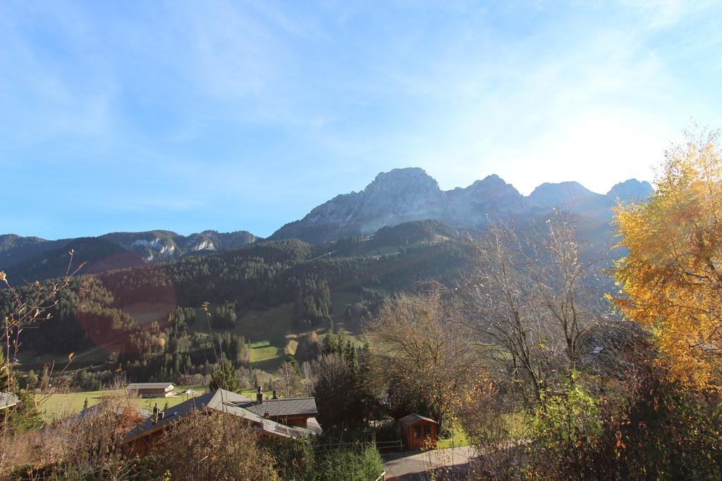 Vila Les Jumelles Gstaad Pokoj fotografie
